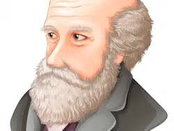 As Ideias Evolucionistas De Darwin