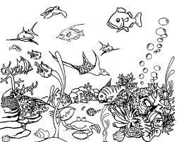 Pin By Angela Cassidy On Antistress Ocean Coloring Pages Sea Animals Drawings Animal Coloring Pages
