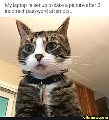 Random Funny Pictures 30 Pics With Images Funny Animals Funny Animal Pictures Animal Memes