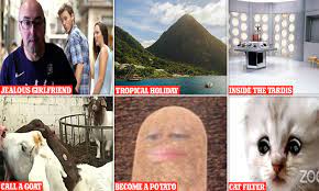 Lawyer rod ponton on feb. How To Transform Yourself Into A Cat With Zoom Video Call Filter Daily Mail Online