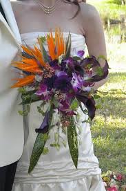 Bridal Bird Of Paradise Bouquet Birds Of Paradise Plum Mini Callas Bombay Dendrobium Orchids Contemporary Cascade Bridal Bo Beach Wedding Flowers Cascading Bridal Bouquets Wedding Bouquets