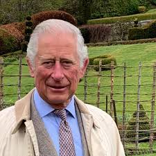 Coronavirus latest: a senior royal wants us to *checks notes* work harder