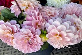 Maybe you would like to learn more about one of these? Cincinnati Wholesale Florist Home Facebook