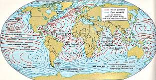 Pacific Ocean Currents Map Ocean Currents Ocean Current And