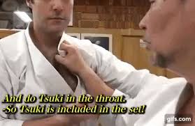 Check spelling or type a new query. Karate Kid Kata Gif