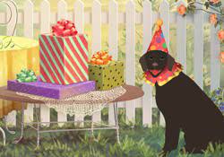Problems viewing cards (including blank screen,. Happy Birthday Balloon Party E Card By Jacquie Lawson