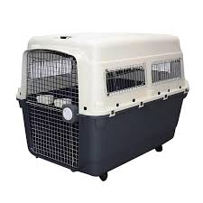 Image result for invalid dog wheelset