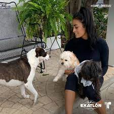 Extalón estados unidos es un reality show es decir competencias deportivas, basado en el formato original de turquía, la quinta temporada dió inicio el 26 de enero de 2021, es producido y transmitido por el canal telemundo. Exatlon Estados Unidos On Twitter Cuarentenaexatlon Con Claudia Martinez Pasandola Bien Con Mis Perritos