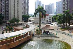 大埔運頭塘龍舟會 tai po wan tau tong dragon boat club. è¿å¤´å¡˜é‚¨ Wikiwand