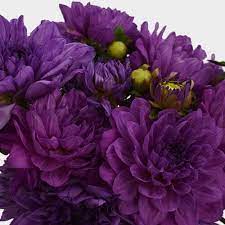 Fresh cut thornless black berry branches 7.13.17. Purple Flowers Wholesale Bulk Flowers Blooms By The Box