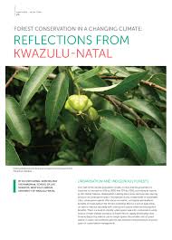 Image result for Sclerocroton