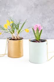 Blumenampel Aus Dosen Selber Machen Und Mit Blumen Bepflanzen