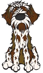 Akc proudly supports dedicated and responsible breeders. Carol Randall Rckjrandall Profile Pinterest