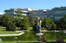 The bachelor program provides a broad understanding about all aspects of the field. University Of Ulm Wikipedia