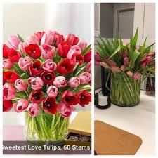 One, the flowers were delivered on a very hot summer day, simply left on the porch in a bag, no notice to the recipient who was inside at the time. 1800flowers Boston 16 Photos 51 Reviews Florists 100 City Hall Plz Boston Ma Phone Number Products Yelp