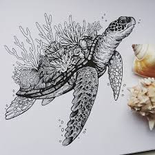 Check spelling or type a new query. Black And White Animal Ink Drawings Turtle Drawing Drawings Ink Art