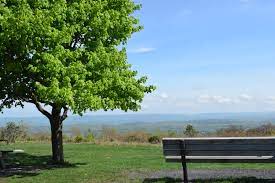 We did not find results for: Big Pocono State Park Tannersville Pa 18372