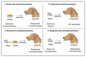 Teorias Del Aprendizaje Condicionamiento Clasico Y Condicionamiento Operante Condicionamiento Clasico Condicionamiento Operante Teorias Del Aprendizaje