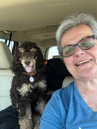 Opal and Wyatt playing in the rain🤣🤣🤣