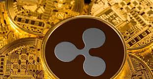 How to buy ripple in the usa? Crypto Broker Voyager To Suspend Trading Of Xrp Coindesk
