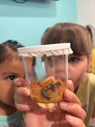 Pediatric physician recommendations needed