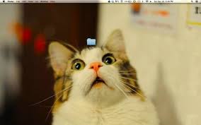 Funny And Clever Desktop Wallpapers That Are Absolutely Cool
