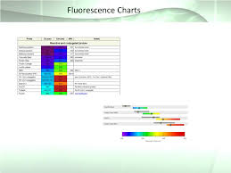 Ppt Introduction To Flow Cytometry Powerpoint Presentation
