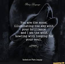 Your Brilliance And I Am The Wolf Howling With Longing Your Soul Ifunny Wolf Quotes Moon Quotes Wolf