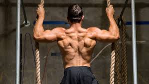The chart groups bodyweight exercises by the muscles they work. Back Workouts For Mass That Beginners Use To Build Size