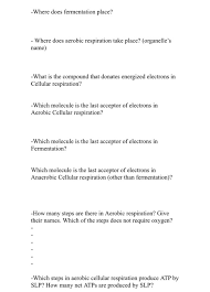 This is the currently selected item. Solved Where Does Fermentation Place Where Does Aerobic Chegg Com