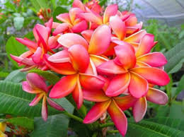 Pin On Beauty Health