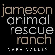 What our clients are saying about canyon pet hospital. Free Pet Clinic Coming To American Canyon News Napavalleyregister Com