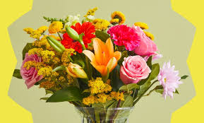 Wonderful gardening gifts (1) 3.9 out of 5 stars 158 $5.49 $ 5. Proflowers Up To 50 Off Dayton Groupon