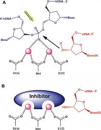 Image result for Integrase Strand Transfer Inhibitor
