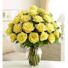 Check spelling or type a new query. 50th Anniversary 2 Dozen Arrangement In Lexington Nc Rae S North Point Florist Inc