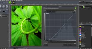 Click once where you want your straight line to begin. 5 Free Alternatives To Photoshop Opensource Com