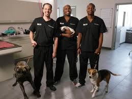 The Vet Life New Animal Plant Series Coming In June Canceled Renewed Tv Shows Tv Series Finale Animal Planet Animal Tv Animals