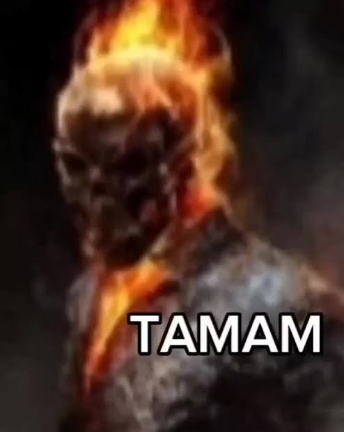 tamam (@tamam.daily) | TikTok