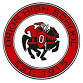 Hall Varsity Football @ Orion