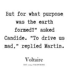 47 Voltaire Quotes 190815 Poster By Quotesgalore In 2020 Voltaire Quotes Badass Quotes Quotes