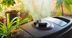 Control of exact percentage of humidity in your room that. 12 Tricks Of Humidifying A Room Naturally