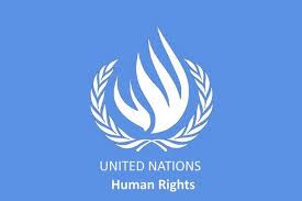 Image result for pics of Un human right logo