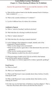 Evolution answer key for review packet author: Evidence For Evolution Worksheet Nidecmege