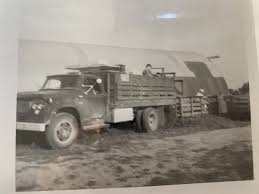 Image result for Pine Green 1961 Dodge Truck