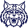 Arizona stuns uconn to punch ticket to national championship game. Https Encrypted Tbn0 Gstatic Com Images Q Tbn And9gctywyq8uy4awltouzhe Onzhsgkabs479s X2bwsntte Xfjyzc Usqp Cau
