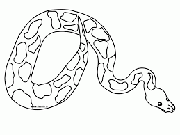 This is an instant downloadable coloring page of a cool snake called a ball python. Python Coloring Pages Coloring Home