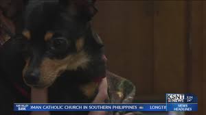 You may have to cover neutering on your own. Critter Care Gives Discounts On Spaying And Neutering