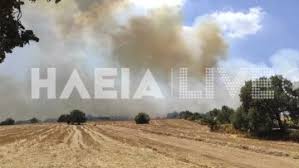 Τι γίνεται με τον ενφια των καμένων σπιτιών. Mxl9rwrsscmbjm