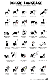 15 Dog Training Hand Signals Chart Rituals You Should Know