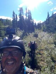 Provincial Executive